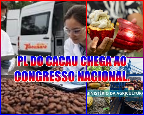 O OURO BAIANO NA PAUTA- PL do Cacau incorpora propostas articuladas pela Bahia e avança no Congresso.