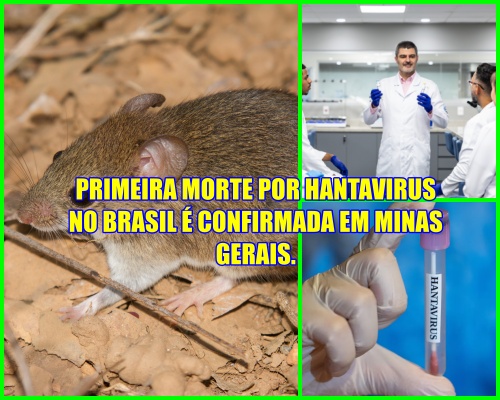 CASO ISOLADO - Minas Gerais confirma uma morte por hantavírus.